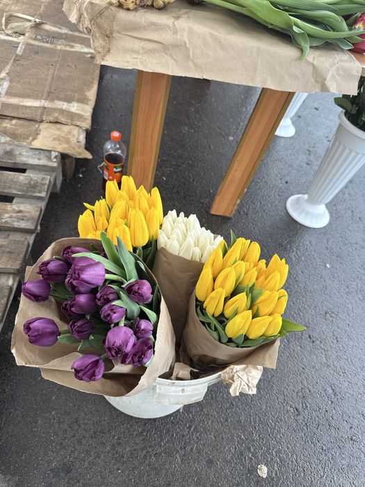 Тульпаны букеты 800 тенге