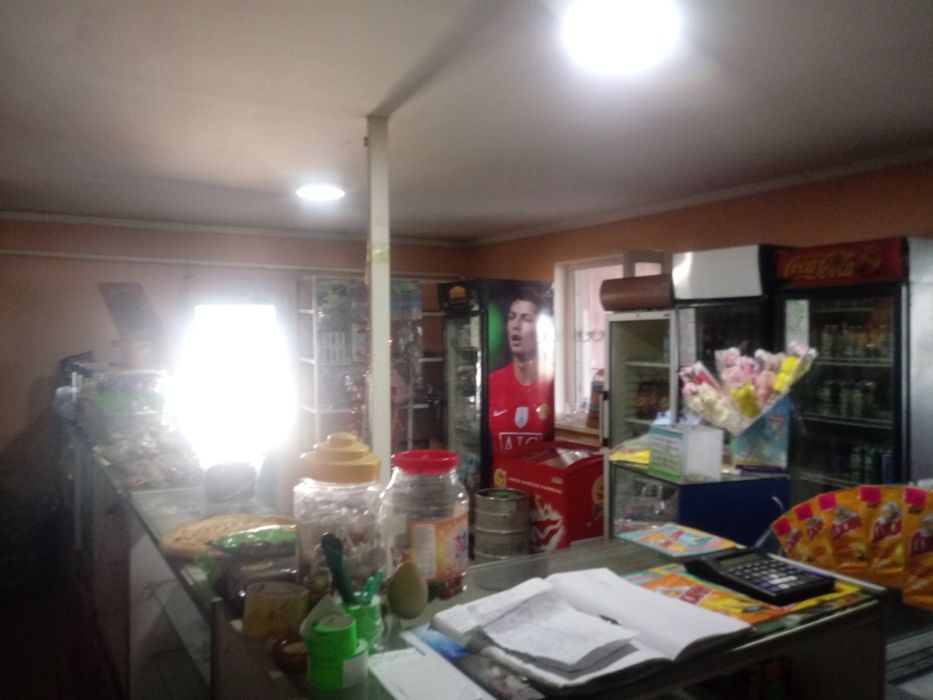 Дом в пригороде с магазином и кафе