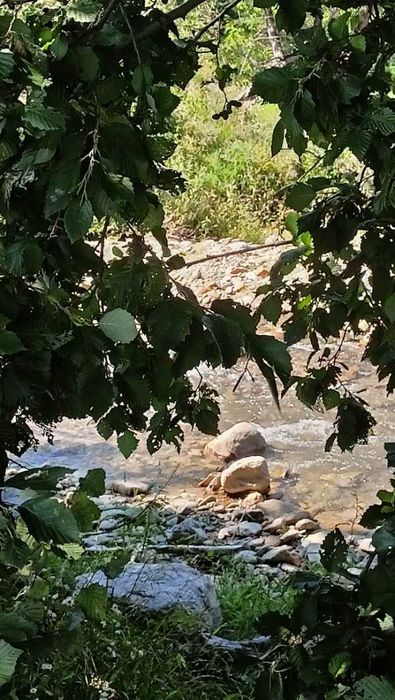 Teren Valea Sebeșului ,Hărseni ,Făgăraș .