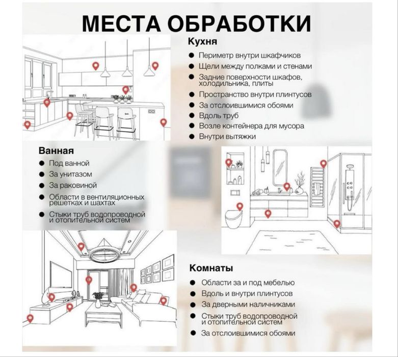Клопомор от клопов и других насекомых
