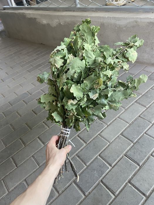 Веник дубовый для бани