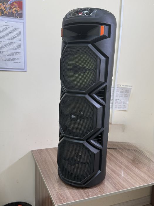 Калонка с микрофоном