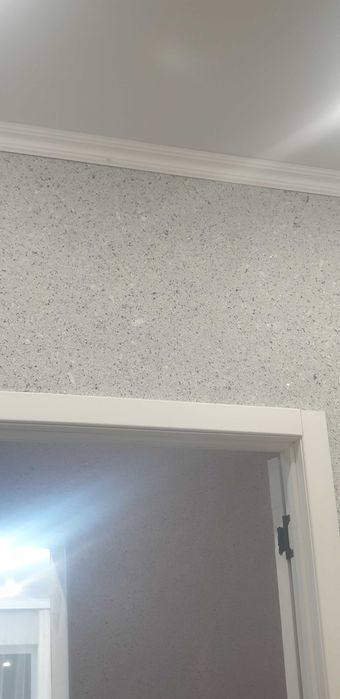 Жидкие Обои (Мастер) 700 тг кв