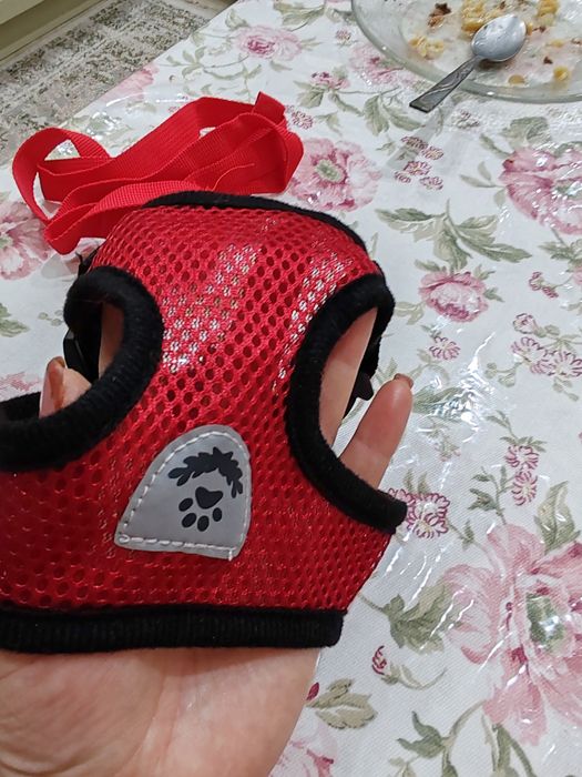 Поводок для кота и собачки