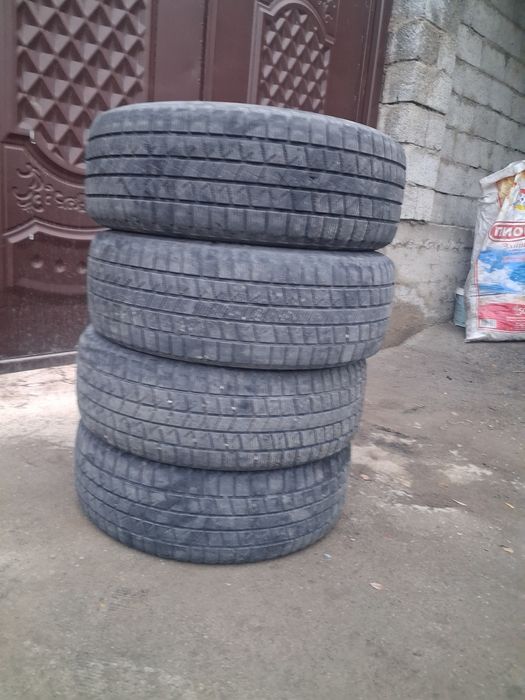 Шина.      Зимняя