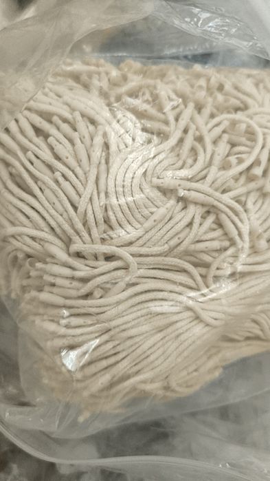 Этикетки (бирки) и биркодержатели (пломбы)