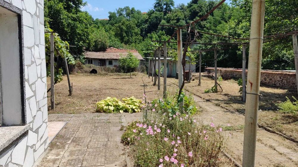 Косене и почистване на запустели дворове и парцели