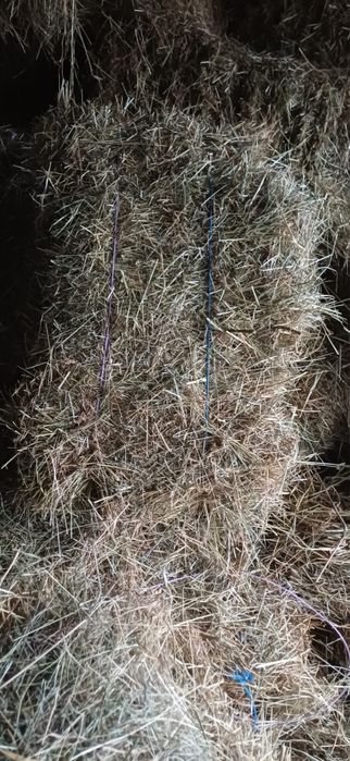 Vând baloți de fân