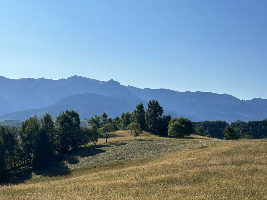 Teren in suprafata de 1550 mp, sat Pestera, zona Bran Moeciu