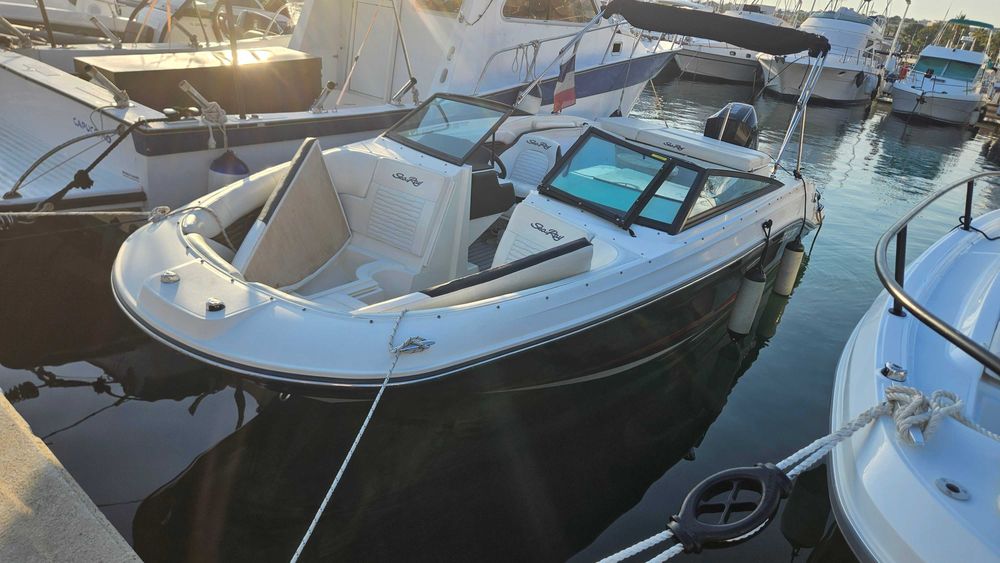 searay 230 spx ..2022..mercury 225cp