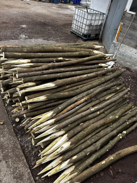 Vănd stalpi de Salcâm