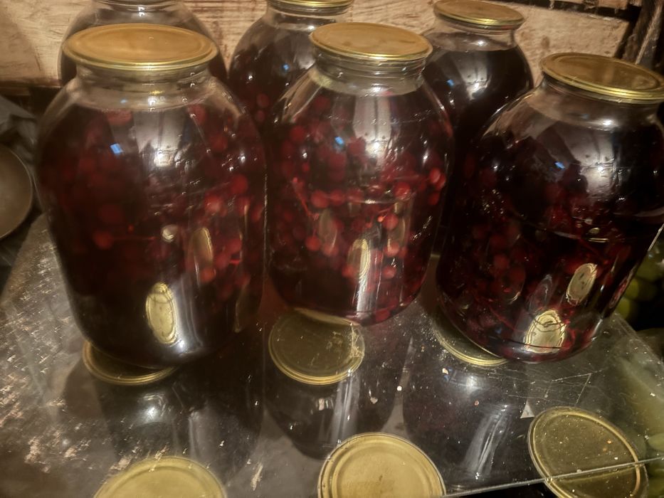 Компот виноградный