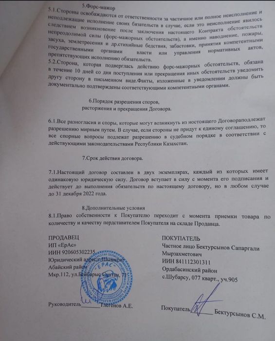 Несушка Ломан Браун тауык