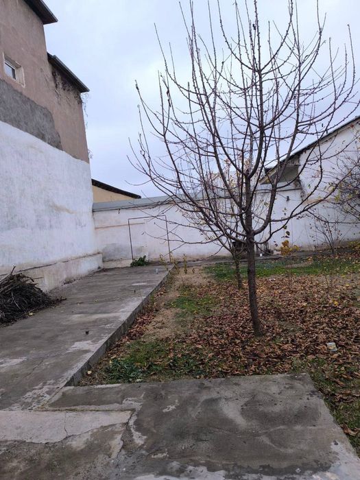 Сдаётся дом в аренду центр Луначарского.