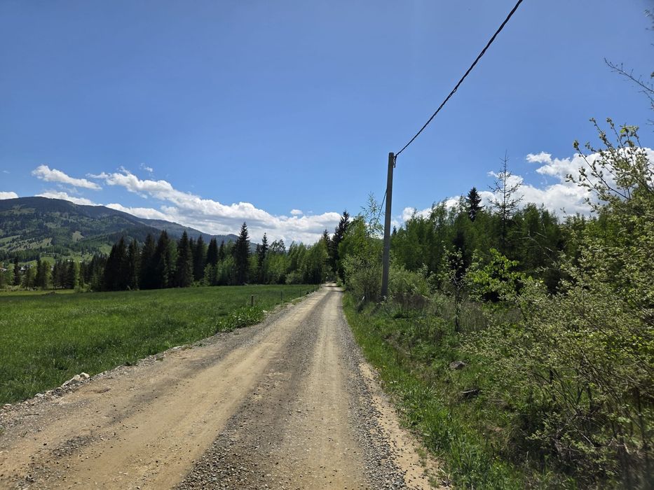 Vând teren Panaci