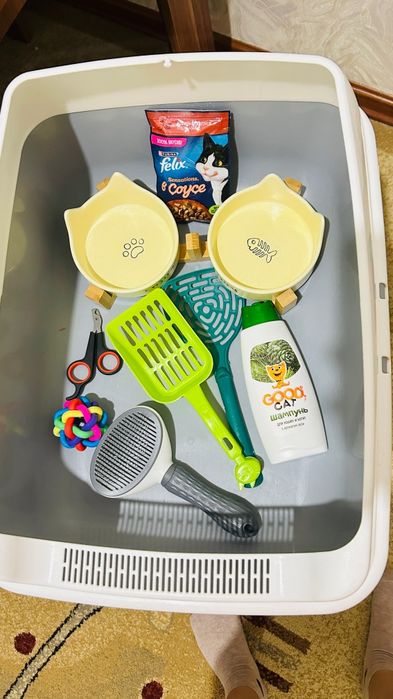 Продаю все для кота