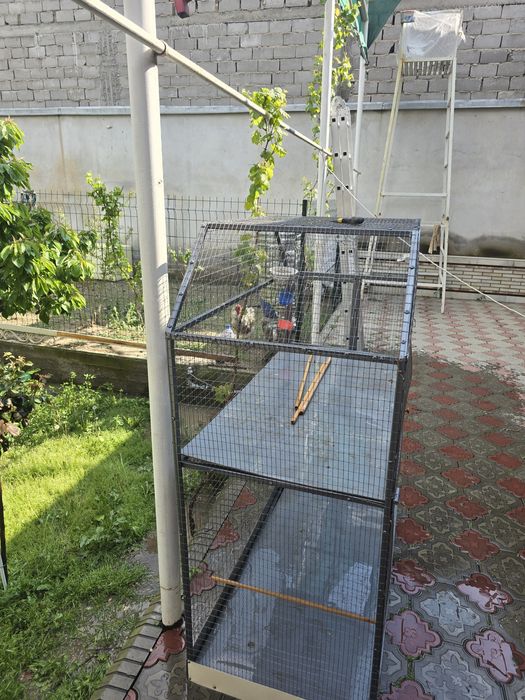 Valer sotiladi holati zur