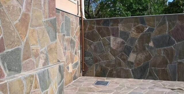 Плитняк разных видов