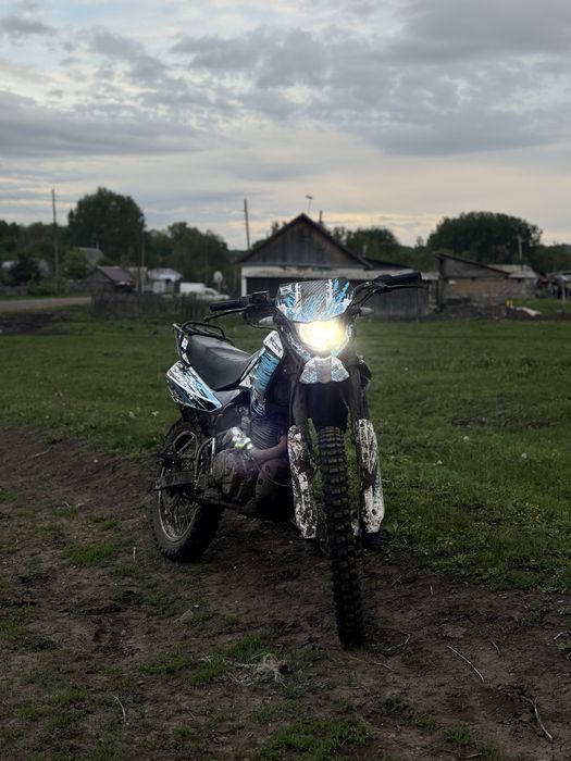 Пейсер пантера 300
