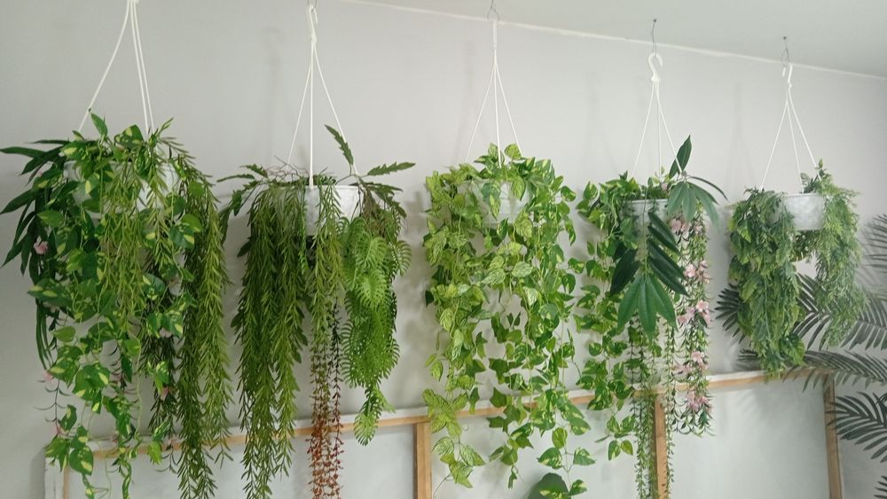 Суний гуллар. Искусственные цветы. Искусственные дерево.