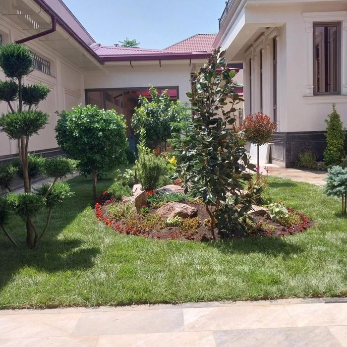 Gazon tayyor ruloniy ekamiz hamda uruglarin sepamiz yevro gazonlar