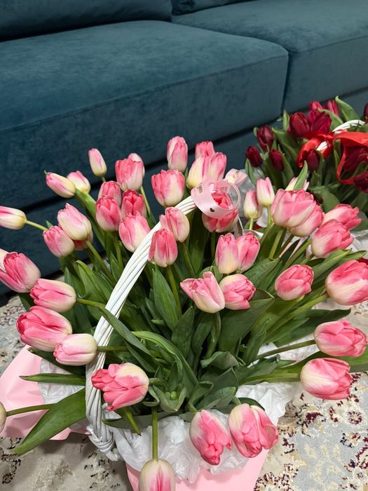 Продам тюльпаны новый