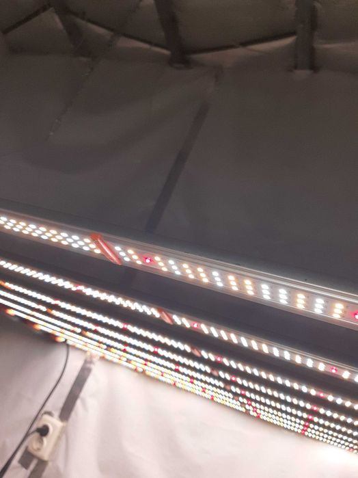 PATRON 650W 8bars led full spectrum grow light