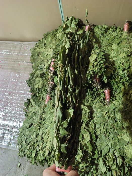 Веники для бани бани