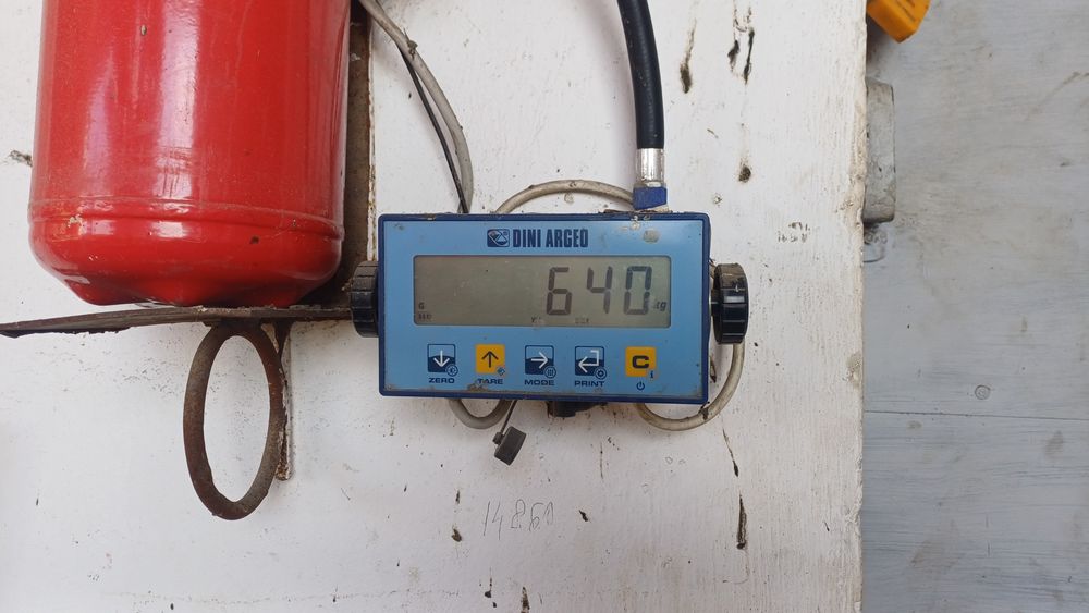 Baloti lucerna infoliati