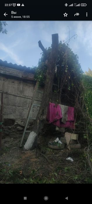 Спил деревьев.санитарная чистка