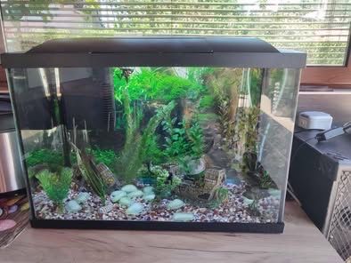 Аквариум за декоративни рибки 60 литра