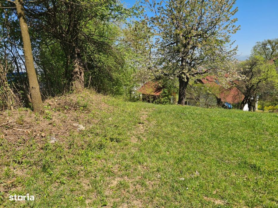 Teren deosebit - 1500 mp, Poiana Angelescu, Str. Livezii