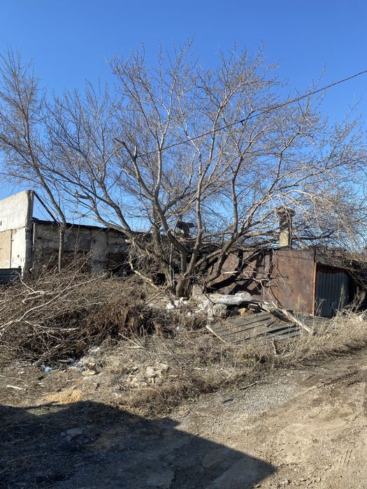 Спил деревьев. Подрезка веток