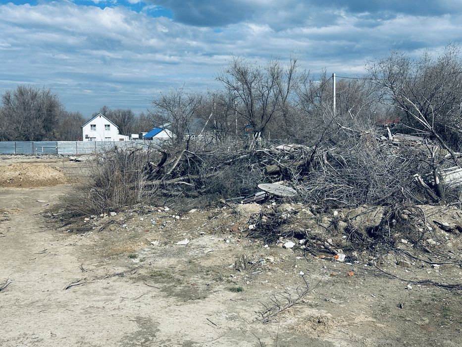 дерево сухой на