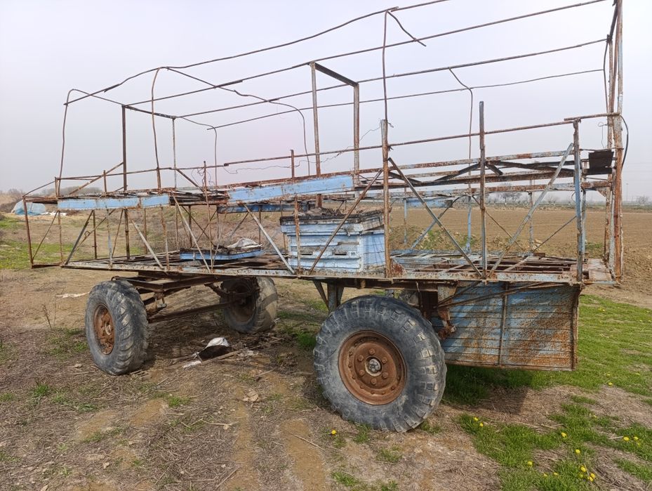 Асалари павилёни