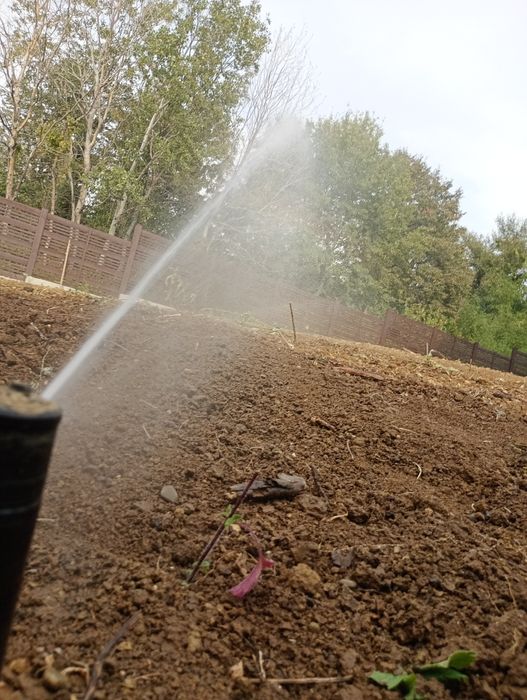 Pregătire  completa curti peluze gazon