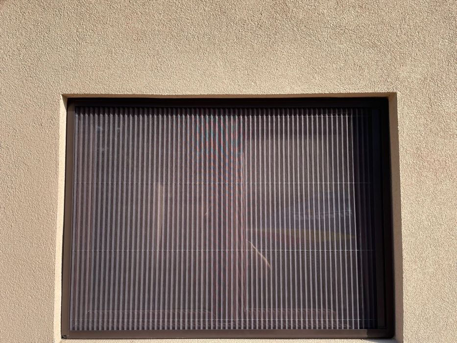 Plase contra insectelor
