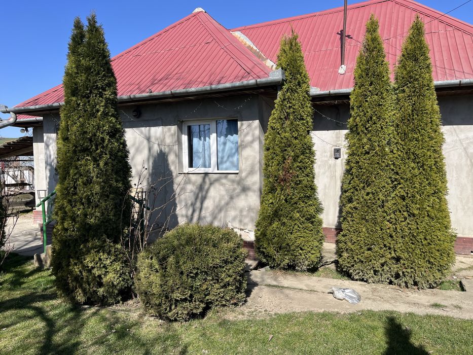 De vânzare: Casa la tara în Sardu Nirajului