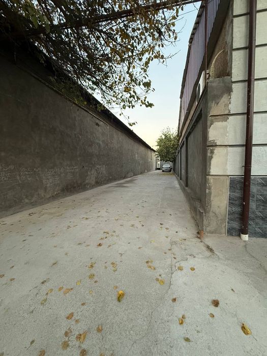 Yer sotiladi  3 - Qaxramonda