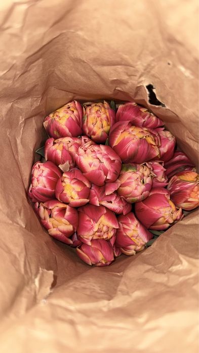 Тюльпаны оптом местные