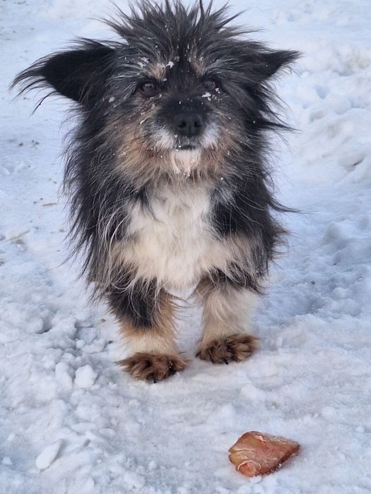 Очаровательные малыши звоночки