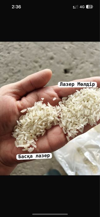 Лазер Шардара 650