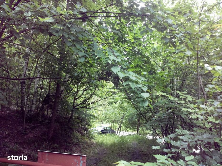Proprietate rară în inima Retezatului – 5.700 mp teren intravilan