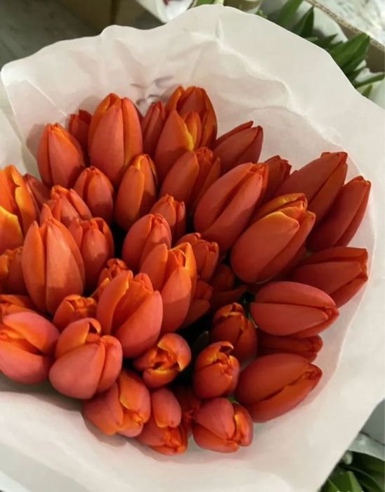 •Тюльпаны •Цветы бесплатная ДОСТАВКА