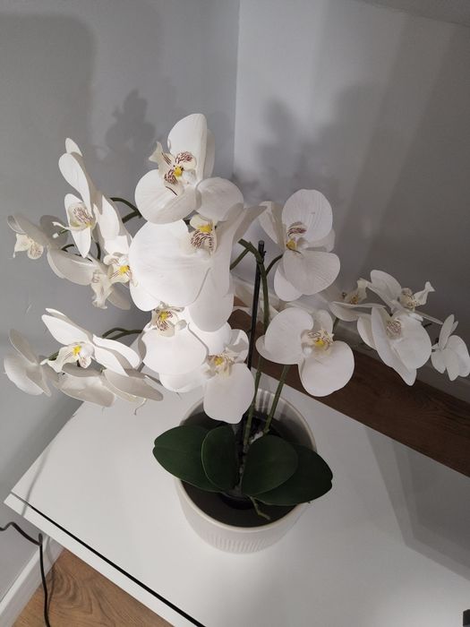 Орхидея с кашпа / изкуствена