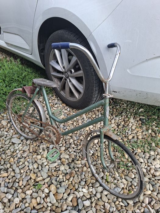 Pegas ideal Medias o piesa destul de rară