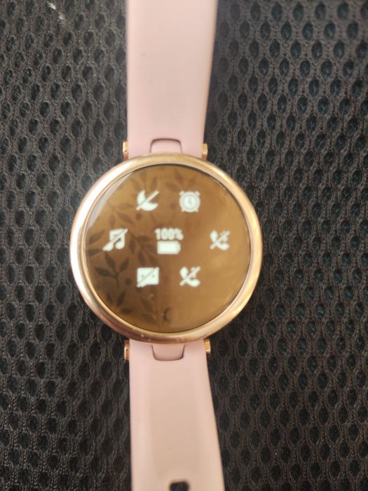 Часы Garmin Lily