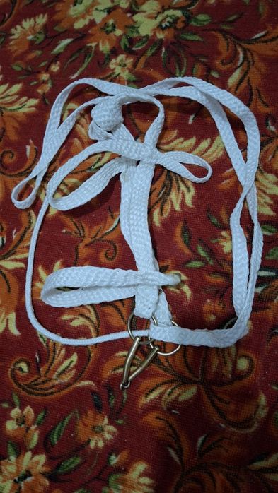 Жүген (уздечка), Ноқта