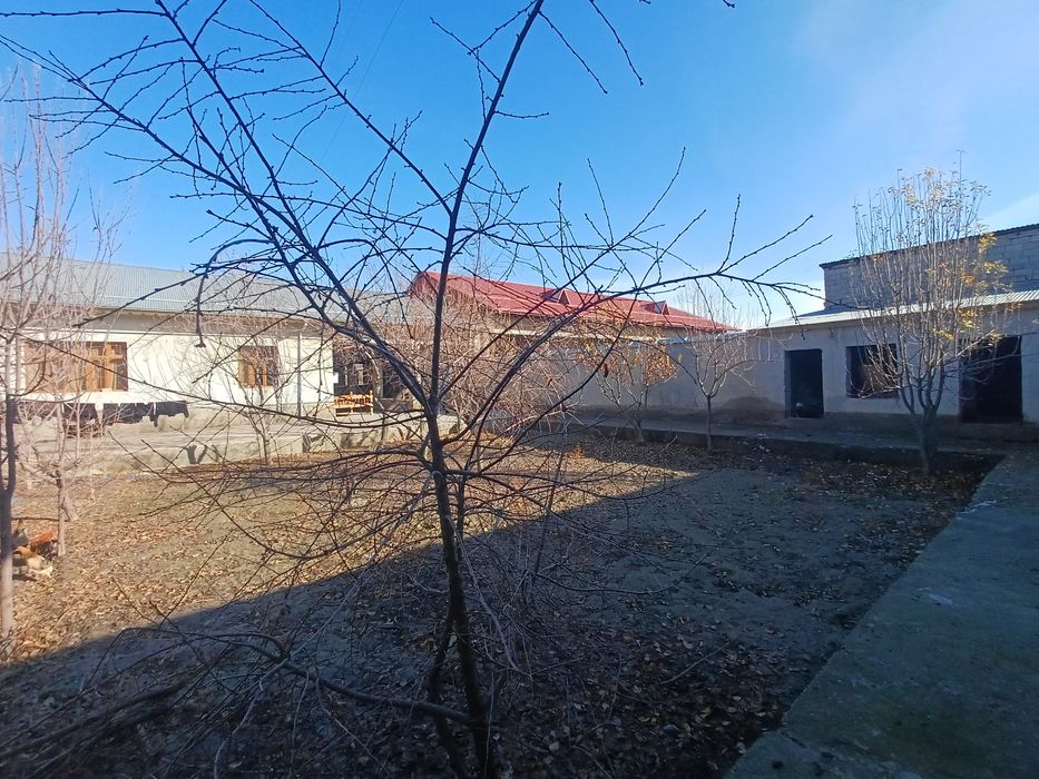 Katta yerli, qulay hovli — zudlik bilan sotiladi