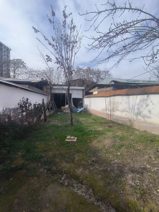 (4) Ул. Циалковского Мирзо Улугбекский р-он. Усасток 3,67 соток
